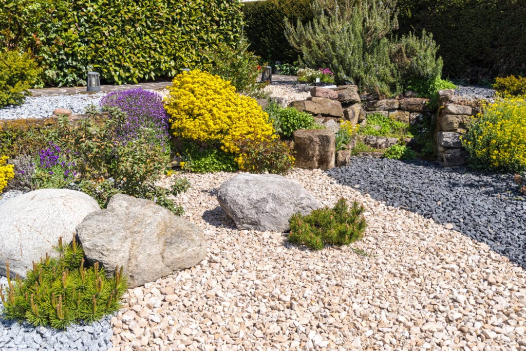 rock garden